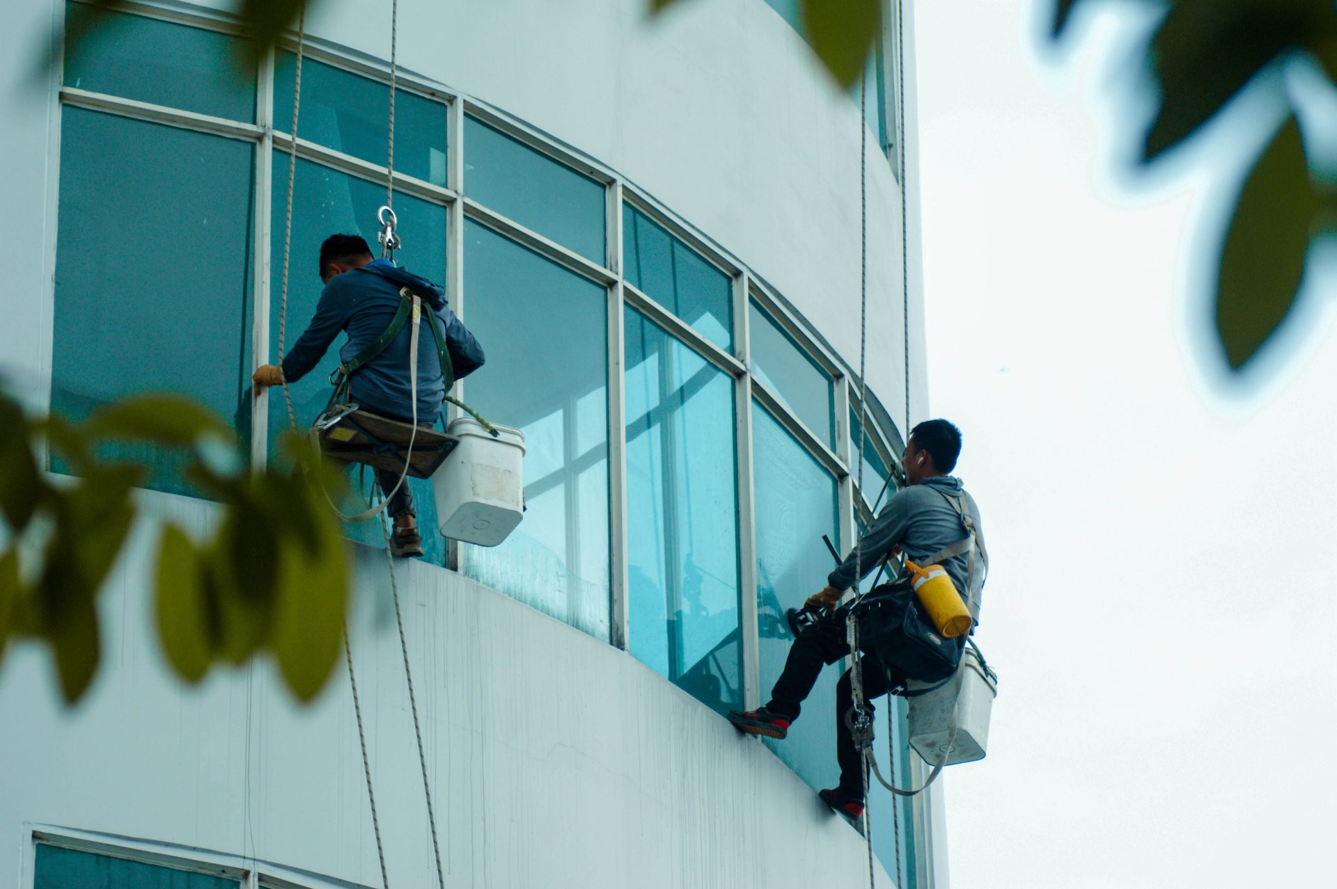An Seilen hängende Fensterputzer reinigen die Glasfassade eines Hochhauses.